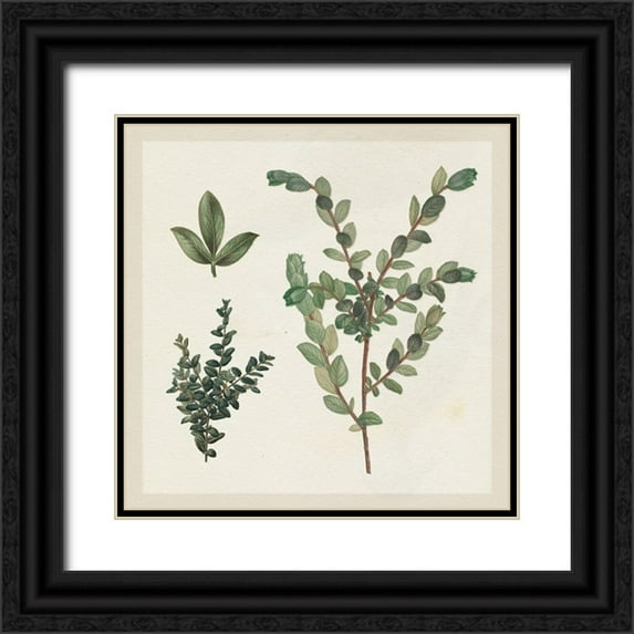 Wild Apple Portfolio 15x15 Black Ornate Wood Framed with Double Matting Museum Art Print Titled - Victorian Garden Chart II