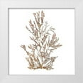 thumbnail image 1 of Wild Apple Portfolio 15x15 White Modern Wood Framed Museum Art Print Titled - Pacific Sea Mosses XVI White Sq, 1 of 4