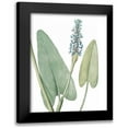 thumbnail image 1 of Wild Apple Portfolio 15x18 Black Modern Framed Museum Art Print Titled - Summer Botanicals IV on White, 1 of 5