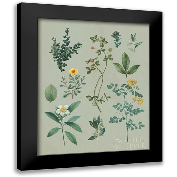Wild Apple Portfolio 15x18 Black Modern Framed Museum Art Print Titled - Victorian Garden V
