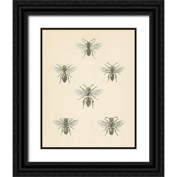 Wild Apple Portfolio 15x18 Black Ornate Wood Framed with Double Matting Museum Art Print Titled - Bee Chart II