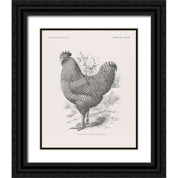 Wild Apple Portfolio 15x18 Black Ornate Wood Framed with Double Matting Museum Art Print Titled - Vintage Farm Life III