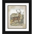 thumbnail image 1 of Wild Apple Portfolio 15x18 Black Ornate Wood Framed with Double Matting Museum Art Print Titled - Woodland Stag I, 1 of 4