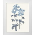 thumbnail image 1 of Wild Apple Portfolio 15x18 White Modern Wood Framed Museum Art Print Titled - Blue Botanical III, 1 of 4