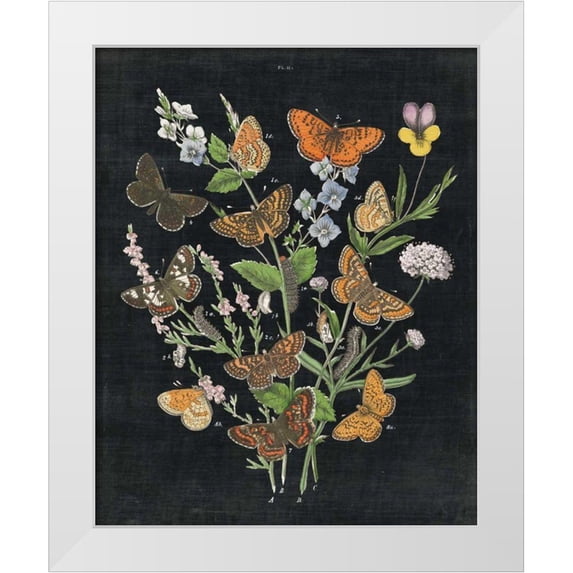 Wild Apple Portfolio 15x18 White Modern Wood Framed Museum Art Print Titled - Butterfly Bouquet on Black I