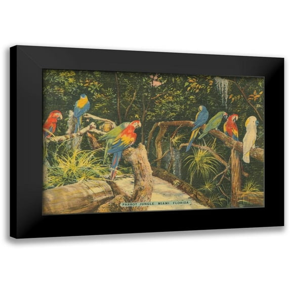 Wild Apple Portfolio 18x13 Black Modern Framed Museum Art Print Titled - Florida Postcard II