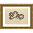 thumbnail image 1 of Wild Apple Portfolio 18x13 Gold Ornate Wood Framed with Double Matting Museum Art Print Titled - Vintage Boa Constrictor, 1 of 4
