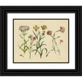 thumbnail image 1 of Wild Apple Portfolio 18x15 Black Ornate Wood Framed with Double Matting Museum Art Print Titled - Herbal Botanical VIII, 1 of 4