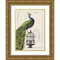 thumbnail image 1 of Wild Apple Portfolio 18x24 Gold Ornate Wood Framed with Double Matting Museum Art Print Titled - Peacock Birdcage I, 1 of 4