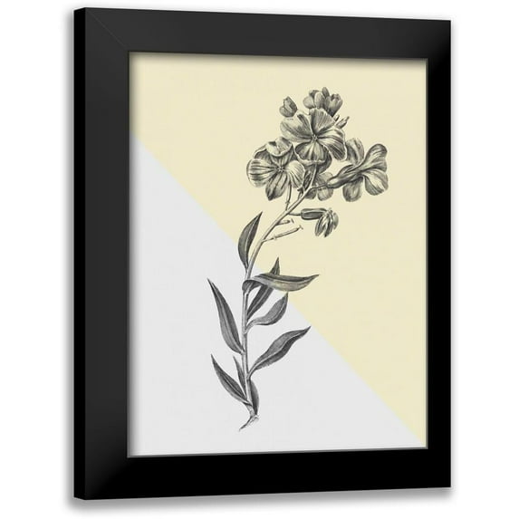 Wild Apple Portfolio 19x24 Black Modern Framed Museum Art Print Titled - Conversations on Botany VI Color Block