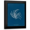 thumbnail image 1 of Wild Apple Portfolio 19x24 Black Modern Framed Museum Art Print Titled - Delicate Coral II, 1 of 5