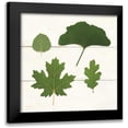 thumbnail image 1 of Wild Apple Portfolio 20x20 Black Modern Framed Museum Art Print Titled - Leaf Chart V Shiplap, 1 of 5