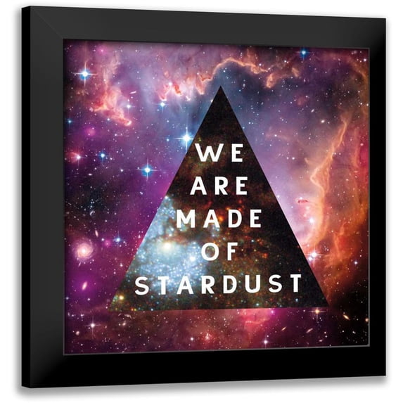 Wild Apple Portfolio 20x20 Black Modern Framed Museum Art Print Titled - Out of this World IV