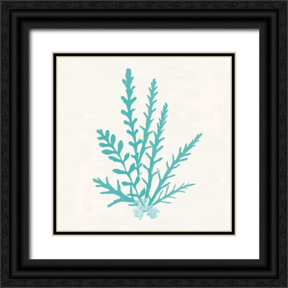 Wild Apple Portfolio 20x20 Black Ornate Wood Framed with Double Matting Museum Art Print Titled - Pacific Sea Mosses III Aqua