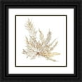 thumbnail image 1 of Wild Apple Portfolio 20x20 Black Ornate Wood Framed with Double Matting Museum Art Print Titled - Pacific Sea Mosses XII White Sq, 1 of 4