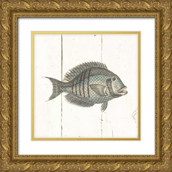 Wild Apple Portfolio 20x20 Gold Ornate Wood Framed with Double Matting Museum Art Print Titled - Fish Sketches I Shiplap