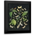 thumbnail image 1 of Wild Apple Portfolio 20x24 Black Modern Framed Museum Art Print Titled - Butterfly Bouquet on Black III, 1 of 5