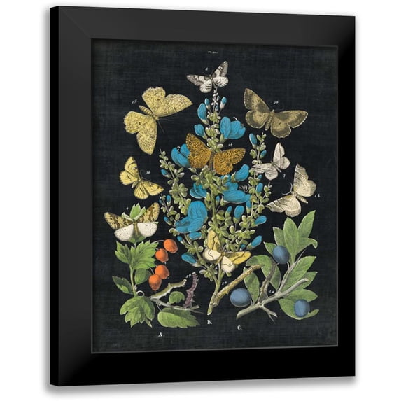 Wild Apple Portfolio 20x24 Black Modern Framed Museum Art Print Titled - Butterfly Bouquet on Black II