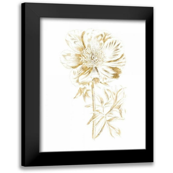 Wild Apple Portfolio 20x24 Black Modern Framed Museum Art Print Titled - Gilded Botanical VIII
