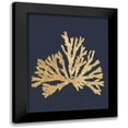 thumbnail image 1 of Wild Apple Portfolio 20x24 Black Modern Framed Museum Art Print Titled - Pacific Sea Mosses IV Indigo, 1 of 5