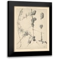 thumbnail image 1 of Wild Apple Portfolio 20x24 Black Modern Framed Museum Art Print Titled - Vintage Tree Sketches II, 1 of 5