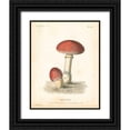 thumbnail image 1 of Wild Apple Portfolio 20x24 Black Ornate Wood Framed with Double Matting Museum Art Print Titled - French Mushrooms III, 1 of 4