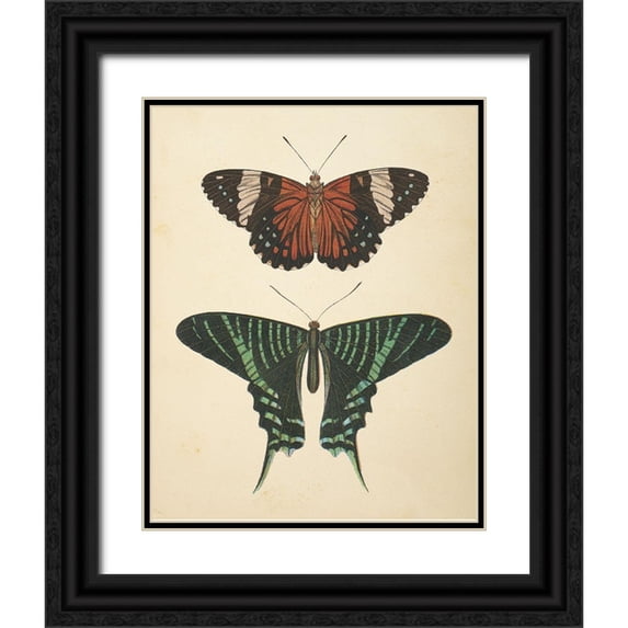 Wild Apple Portfolio 20x24 Black Ornate Wood Framed with Double Matting Museum Art Print Titled - Papillons I
