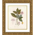 thumbnail image 1 of Wild Apple Portfolio 20x24 Gold Ornate Wood Framed with Double Matting Museum Art Print Titled - Botanical Gardenia v2, 1 of 4