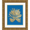 thumbnail image 1 of Wild Apple Portfolio 20x24 Gold Ornate Wood Framed with Double Matting Museum Art Print Titled - Pacific Sea Mosses II Blue, 1 of 4