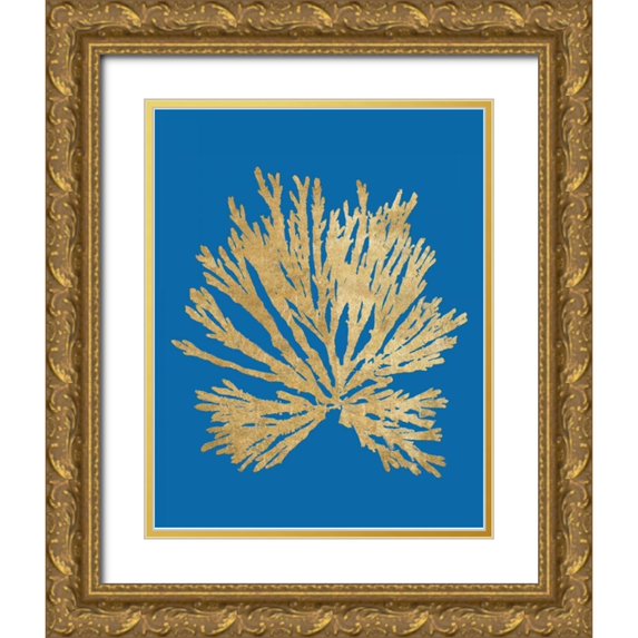 Wild Apple Portfolio 20x24 Gold Ornate Wood Framed with Double Matting Museum Art Print Titled - Pacific Sea Mosses II Blue