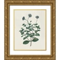 thumbnail image 1 of Wild Apple Portfolio 20x24 Gold Ornate Wood Framed with Double Matting Museum Art Print Titled - Victorian Garden Flowers IV, 1 of 4