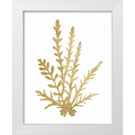 Wild Apple Portfolio 20x24 White Modern Wood Framed Museum Art Print Titled - Pacific Sea Mosses III Gold