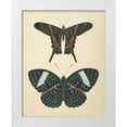 thumbnail image 1 of Wild Apple Portfolio 20x24 White Modern Wood Framed Museum Art Print Titled - Papillons II, 1 of 4