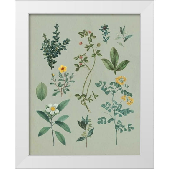 Wild Apple Portfolio 20x24 White Modern Wood Framed Museum Art Print Titled - Victorian Garden V