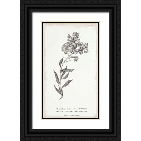 Wild Apple Portfolio 20x32 Black Ornate Wood Framed with Double Matting Museum Art Print Titled - Conversations on Botany VI