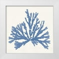 thumbnail image 1 of Wild Apple Portfolio 26x26 White Modern Wood Framed Museum Art Print Titled - Pacific Sea Mosses IV Light Blue, 1 of 4