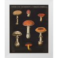 thumbnail image 1 of Wild Apple Portfolio 26x31 White Modern Wood Framed Museum Art Print Titled - Mushroom Chart III, 1 of 4