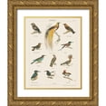thumbnail image 1 of Wild Apple Portfolio 26x32 Gold Ornate Wood Framed with Double Matting Museum Art Print Titled - Bird Chart I, 1 of 4