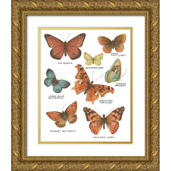 Wild Apple Portfolio 26x32 Gold Ornate Wood Framed with Double Matting Museum Art Print Titled - Botanical Butterflies Postcard IV White