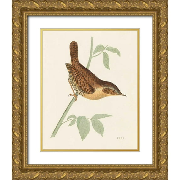 Wild Apple Portfolio 26x32 Gold Ornate Wood Framed with Double Matting Museum Art Print Titled - Engraved Birds I