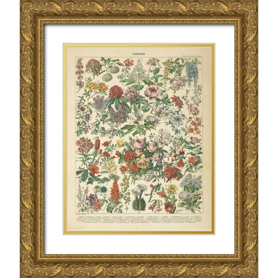 Wild Apple Portfolio 26x32 Gold Ornate Wood Framed with Double Matting Museum Art Print Titled - French Flower Chart