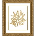 thumbnail image 1 of Wild Apple Portfolio 26x32 Gold Ornate Wood Framed with Double Matting Museum Art Print Titled - Pacific Sea Mosses I Gold, 1 of 4