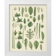 thumbnail image 1 of Wild Apple Portfolio 26x32 White Modern Wood Framed Museum Art Print Titled - Assortment of Leaves II No Numbers, 1 of 4