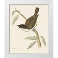 thumbnail image 1 of Wild Apple Portfolio 26x32 White Modern Wood Framed Museum Art Print Titled - Engraved Birds II, 1 of 4