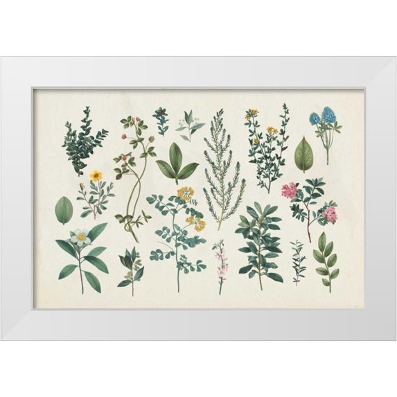 Wild Apple Portfolio 32x23 White Modern Wood Framed Museum Art Print Titled - Victorian Garden III
