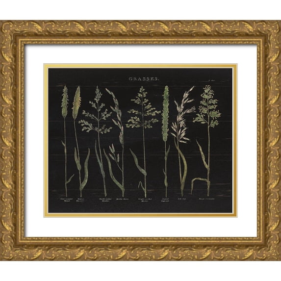 Wild Apple Portfolio 32x26 Gold Ornate Wood Framed with Double Matting Museum Art Print Titled - Herbal Botanical VII Black Wood