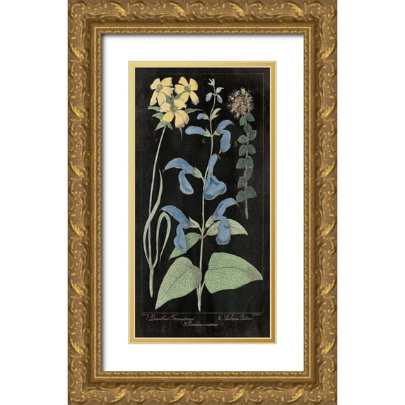 Wild Apple Portfolio 9x14 Gold Ornate Wood Framed with Double Matting Museum Art Print Titled - Salvia Florals II on Black