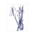 thumbnail image 1 of Wild Apple Portfolio 'Dark Blue Botanical II' Canvas Art, 1 of 3
