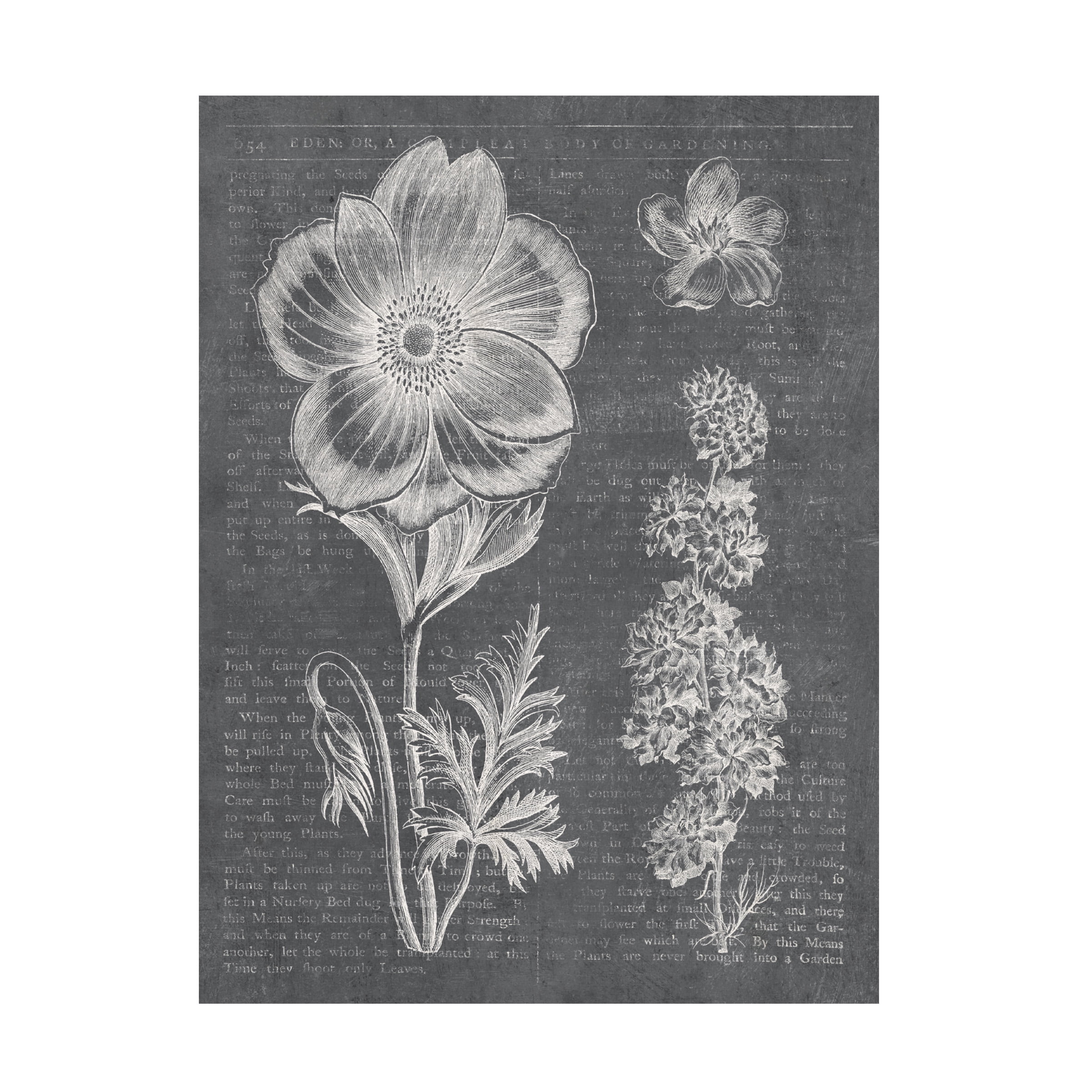 Eden Spring Gray Floral Canvas Print, 14 x 19 Inches
