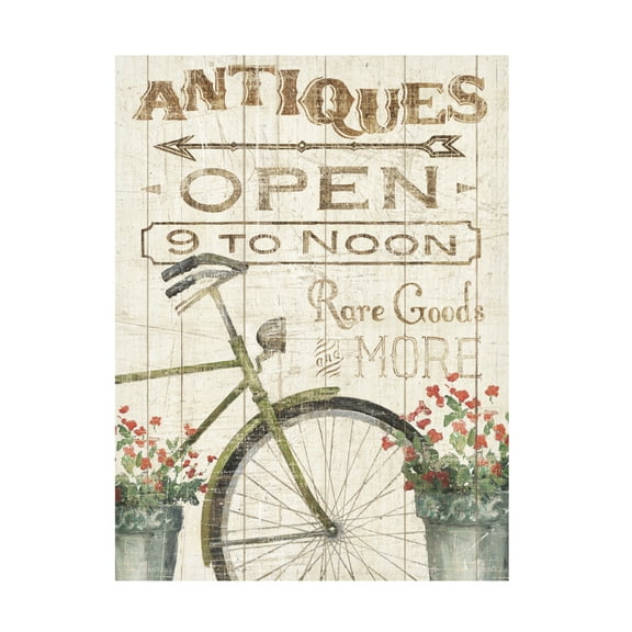 Wild Apple Portfolio 'Flea Market Bike' Canvas Art